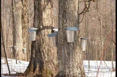 Cabane du Pic Bois