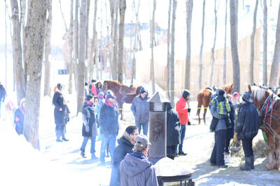 Cabane à sucre D’Amours