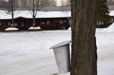 Cabane à sucre l’Hermine