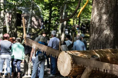 Lumberjack Village