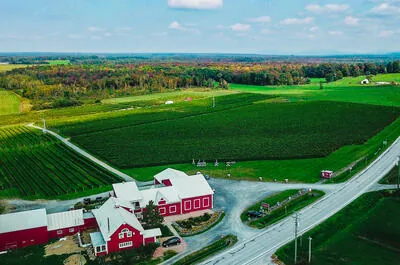 Gagliano Vineyards Inc.