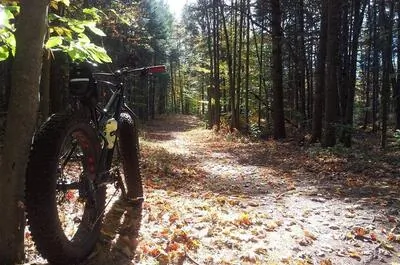 Parc du Domaine Vert / Vélo de montagne