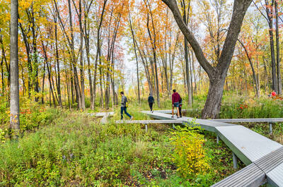 Parc-nature du Bois-de-Liesse