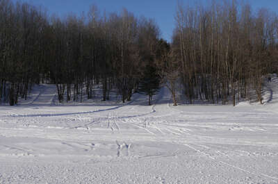 Ski de fond Chez Ti-Jean
