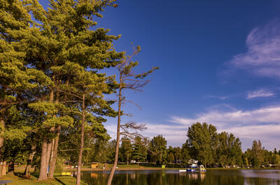 Camping Canne de bois