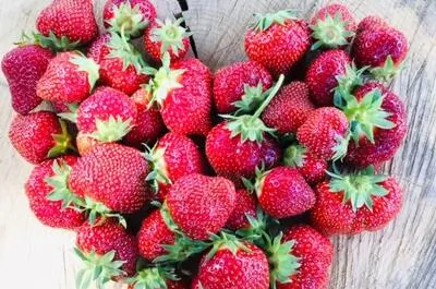 La Fruiterie champêtre