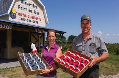 Bleuetière Point du jour