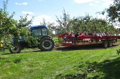 Verger Gibouleau inc.