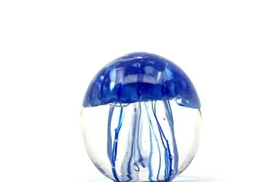 La Méduse – Glass Studio