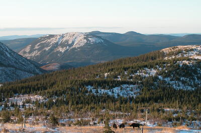 International Appalachian Trail – Québec GR A1 (IAT-QC)