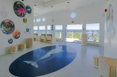 Marine Environment Discovery Centre