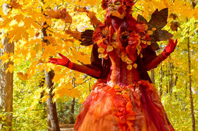 Festival des couleurs de Rigaud