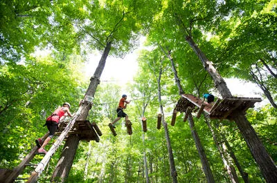 Treetop Trekking Duchesnay