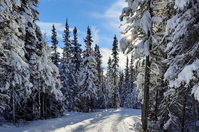 Les Sentiers de la rivière Amédée