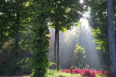 Pépinière Villeneuve inc.