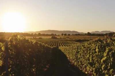 Domaine Les Petits Cailloux