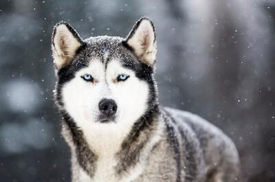 Centre d’activités nature Kanatha Aki