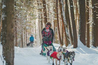 Les Aventures Liguoriennes
