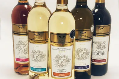 Vignoble Domaine l’Ange Gardien
