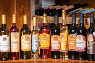 Vignoble Kobloth & Fils inc.