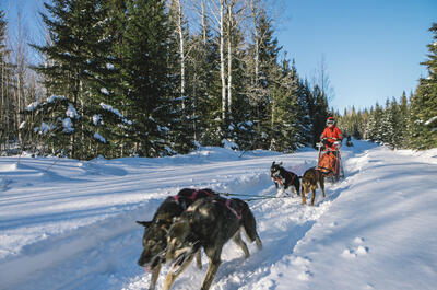 Aventure Pattes blanches