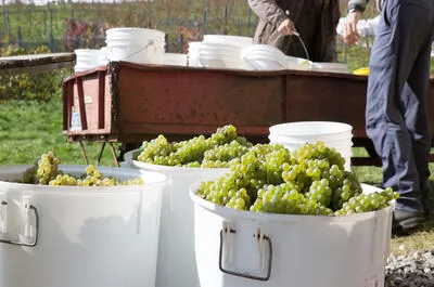 Clos Lambert