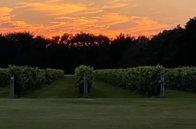 Mondor Winery