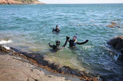 Festival marin des Escoumins