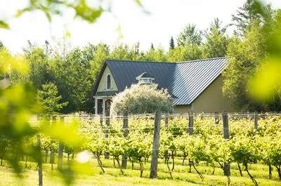Le Domaine Bergeville