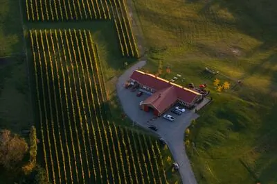 Vignoble les Vallons de Wadleigh