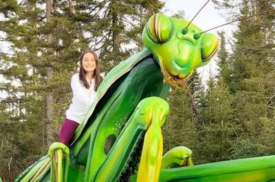 Le Labyrinthe des insectes