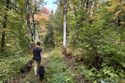 Avalanche Culture Plein Air