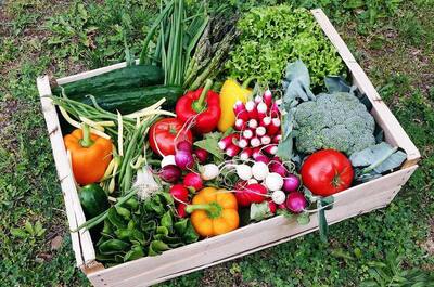 La Marmite du terroir (Ferme Sainte-Dorothée)