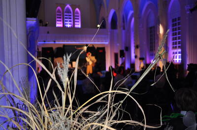 Festival international du conte Jos Violon de Lévis