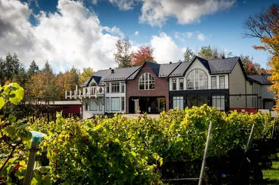 Le Vignoble du Ruisseau – Cidrerie / Distillerie