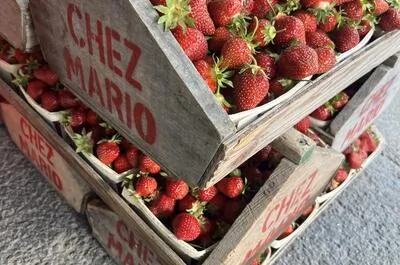Ferme Chez Mario