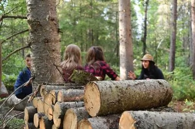 Bois rond expérience