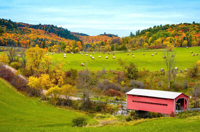 Fall rhapsody in Gatineau Park