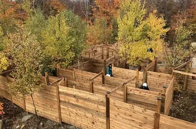 Ara – Féria automnale