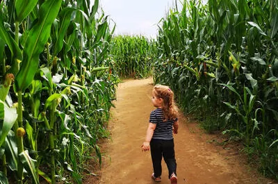 Le Grand labyrinthe de Lanaudière