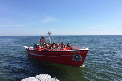 Traverse Longue-Pointe-de-Mingan/Îles de Mingan (Entreprises Touristiques Loiselle)