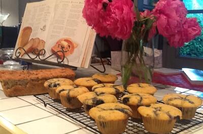 LE GÎTE LE PASSE-PARTOUT