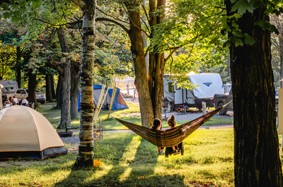 CAMPING DES VOLTIGEURS