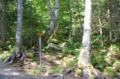 CAMPING PARC DU MONT-MÉGANTIC SECTEUR DE L’OBSERVATOIRE