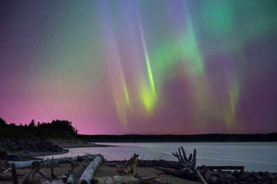 Things to do in Côte-Nord (activities, services, accommodations)