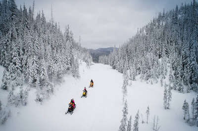 Things to do in Saguenay-Lac-Saint-Jean (activities, services, accommodations)