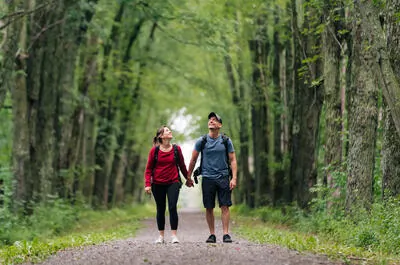 Parc régional de la Forêt Drummond
