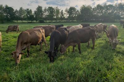 Fromagerie des Grondines