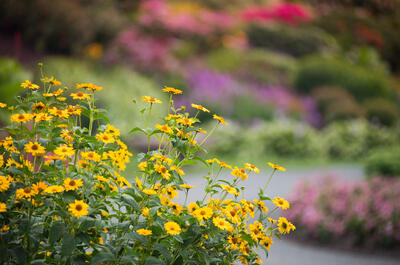 Parc botanique À Fleur d’eau