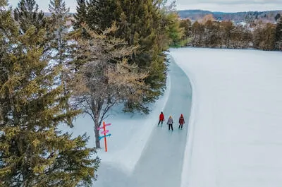 The Little Penguin Trail